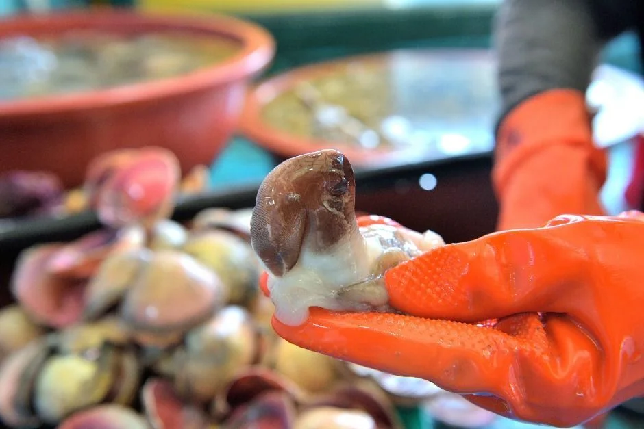 홍성남당항 새조개축제 2026, 겨울 별미를 즐기는 법