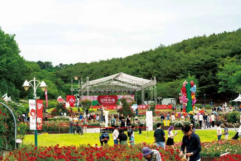 울산대공원 장미축제 2026, 300만 송이 장미와 야간조명 즐기기