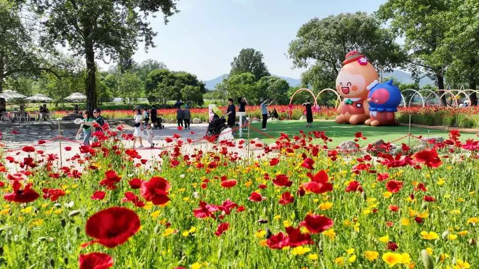 자라섬 꽃 페스타 2026, 봄꽃과 문화가 어우러진 경기 축제