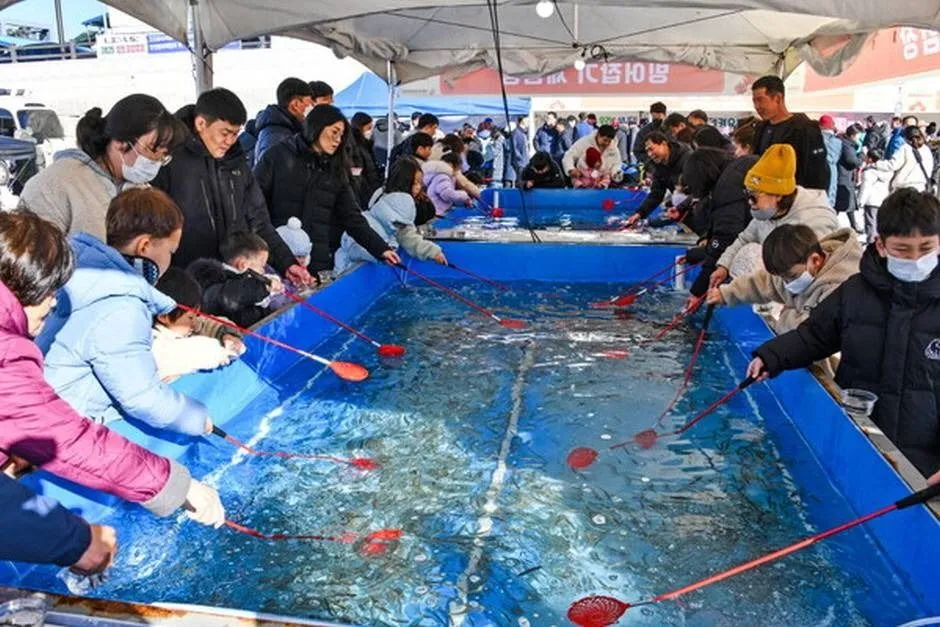 2026 영동곶감축제, 겨울만의 매력 속으로