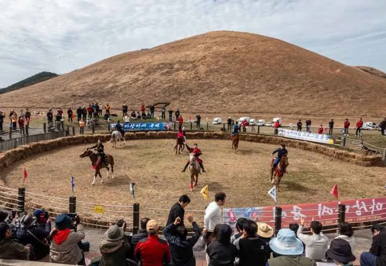 제주들불축제 2026 일정·장소·프로그램 완벽정리