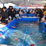 2026 영동곶감축제, 겨울만의 매력 속으로