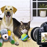 경기도 반려동물산업 중소기업 지원 2026, 최대 1,500만 원 혜택 총정리