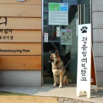 경주시 반려동물 동반 출입 오해와 사실 2026, 꼭 알아야 할 체크포인트