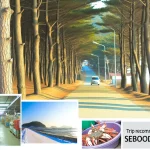 2월 영덕 힐링 여행 추천 – 겨울 바다와 산, 제대로 즐기는 코스 안내